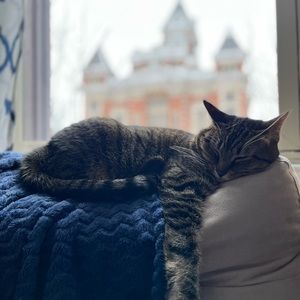 Meet your Posher, Christopher